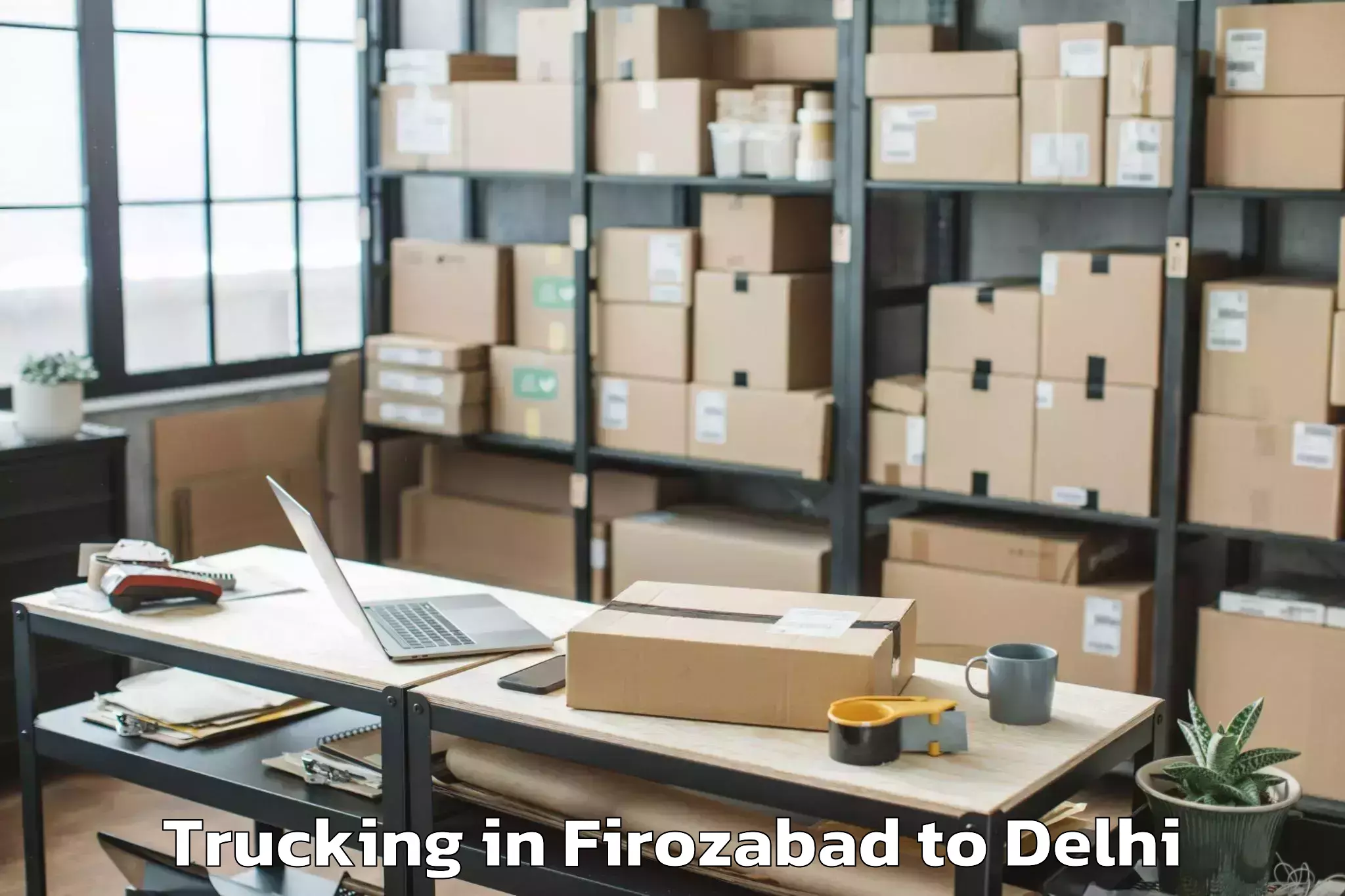 Firozabad to Chanakya Puri Trucking Booking